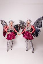 Fluturașii Argintii - imagine 3