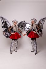 Fluturașii Argintii - imagine 4