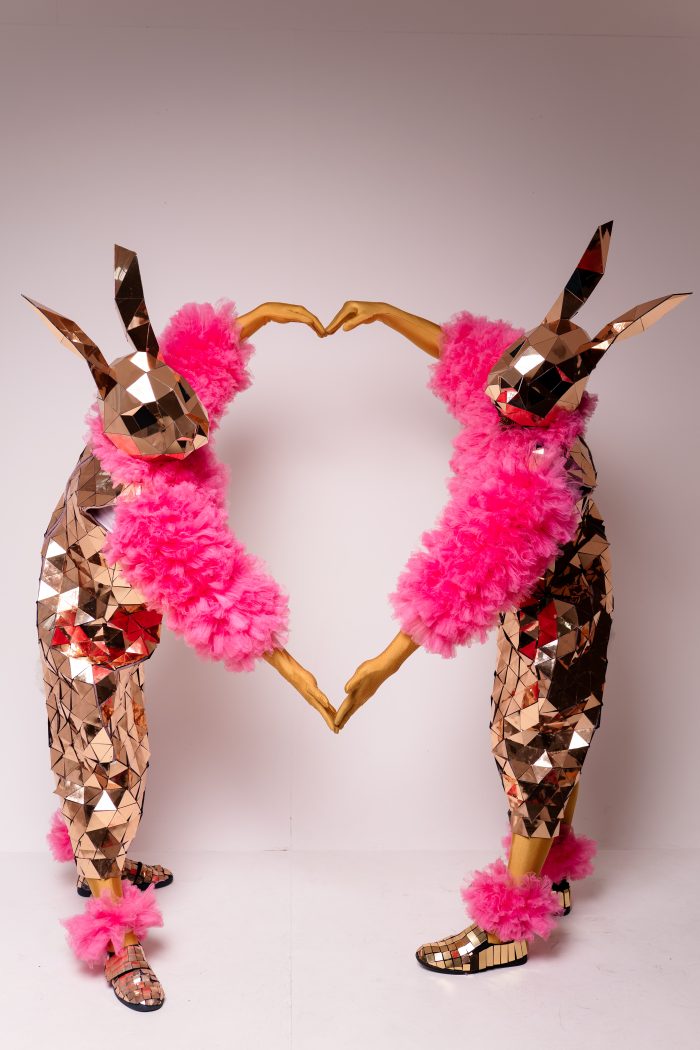 Iepurașii Aurii - imagine 4