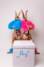 Iepurașii Aurii - imagine 2