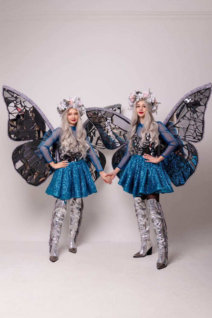 Fluturașii Argintii - imagine 2