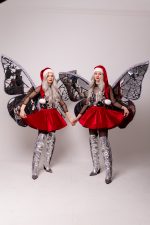 Fluturașii Argintii - imagine 5