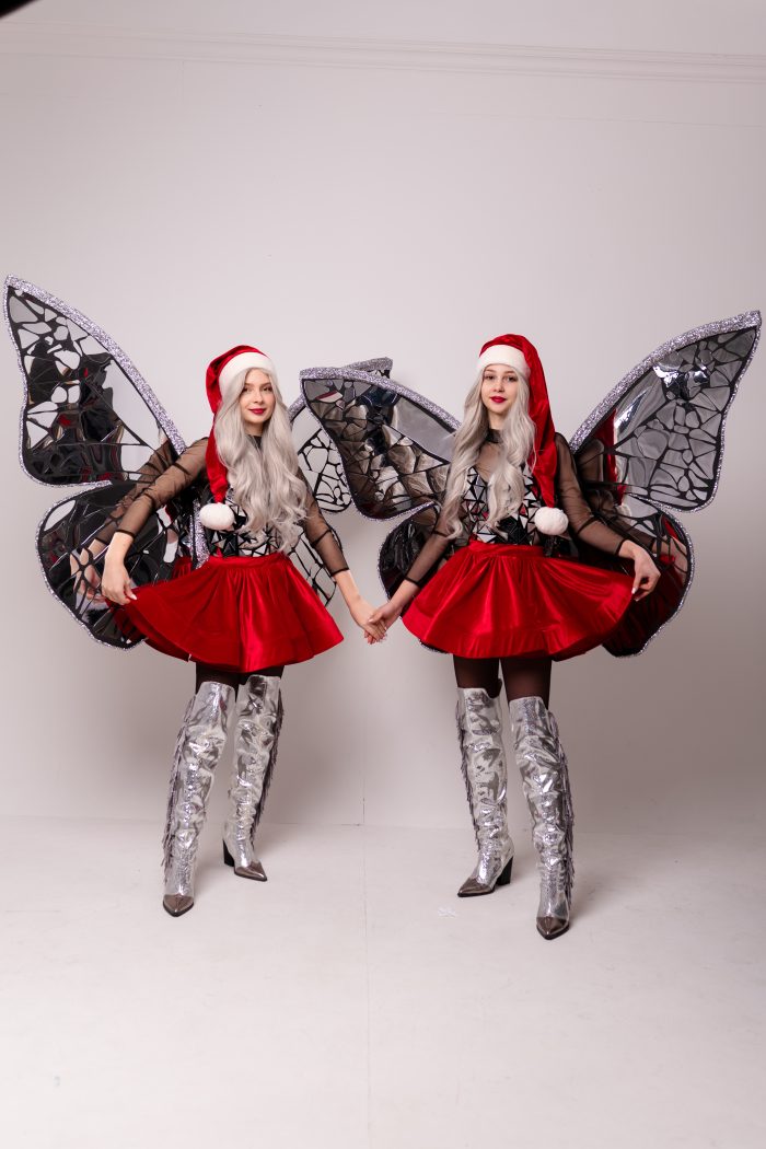 Fluturașii Argintii - imagine 5