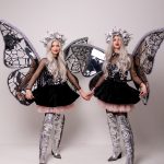 Fluturașii Argintii