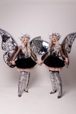 Fluturașii Argintii