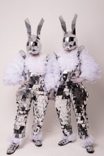 Iepurașii Argintii - imagine 2