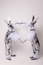 Iepurașii Argintii - imagine 3